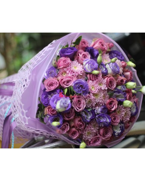 Hồng tím