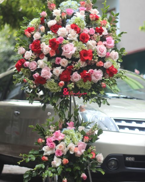 May mắn