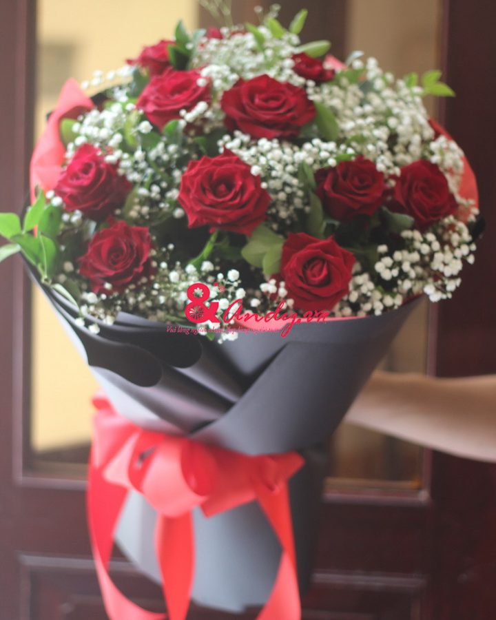 Hãy trả lời anh