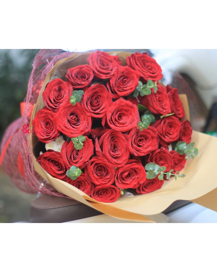 Cố chấp yêu em