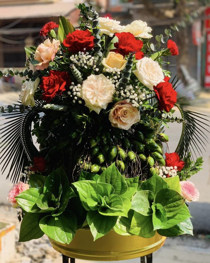 TRẦU CAU 2
