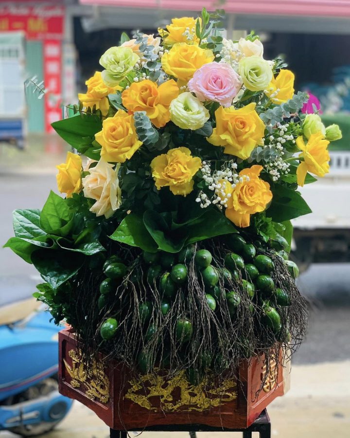TRẦU CAU 3