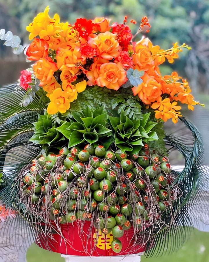 TRẦU CAU 5