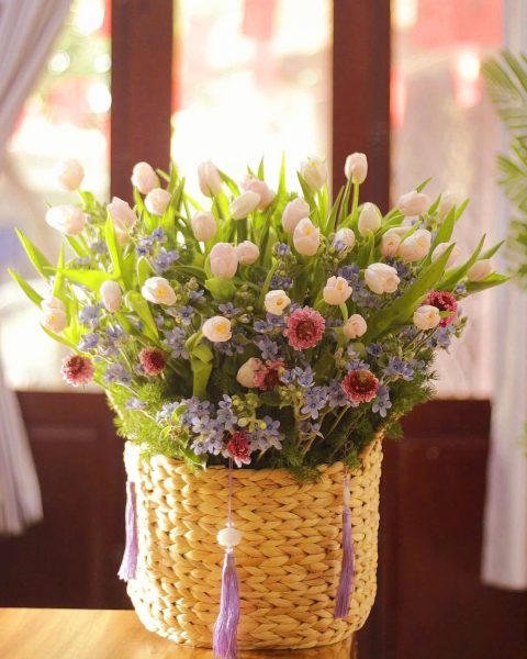 Hoa tulip 1