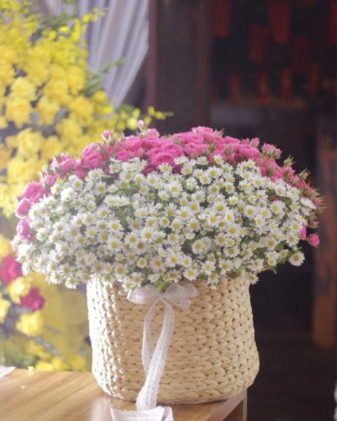 vườn hoa