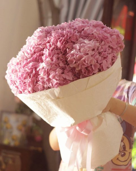 Tú cầu hồng
