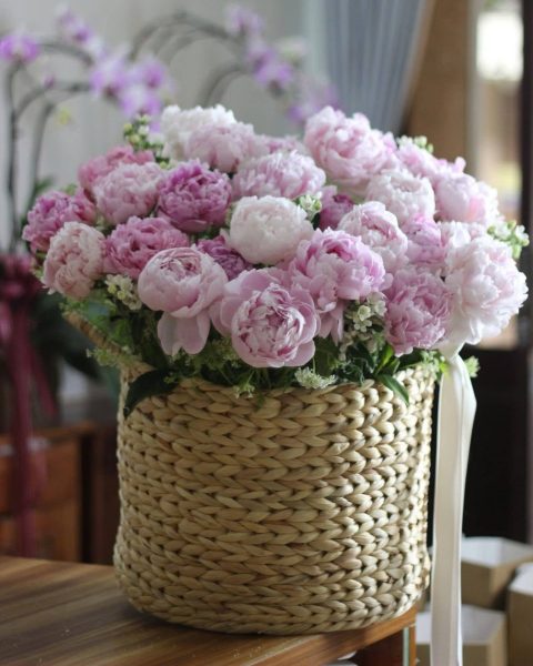 hoa mẫu đơn