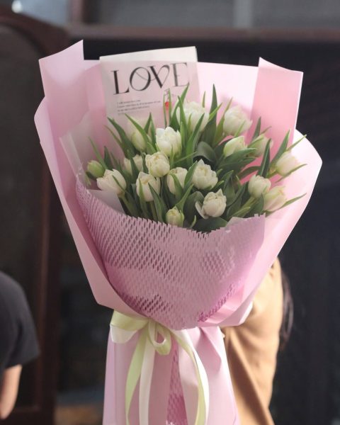 bói hoa tulip trắng