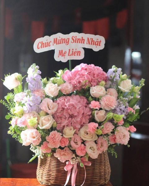 Đón nắng mới