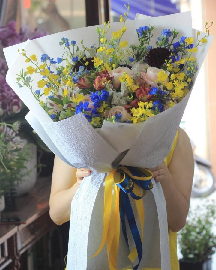 Hoa cúc mẫu đơn hồng