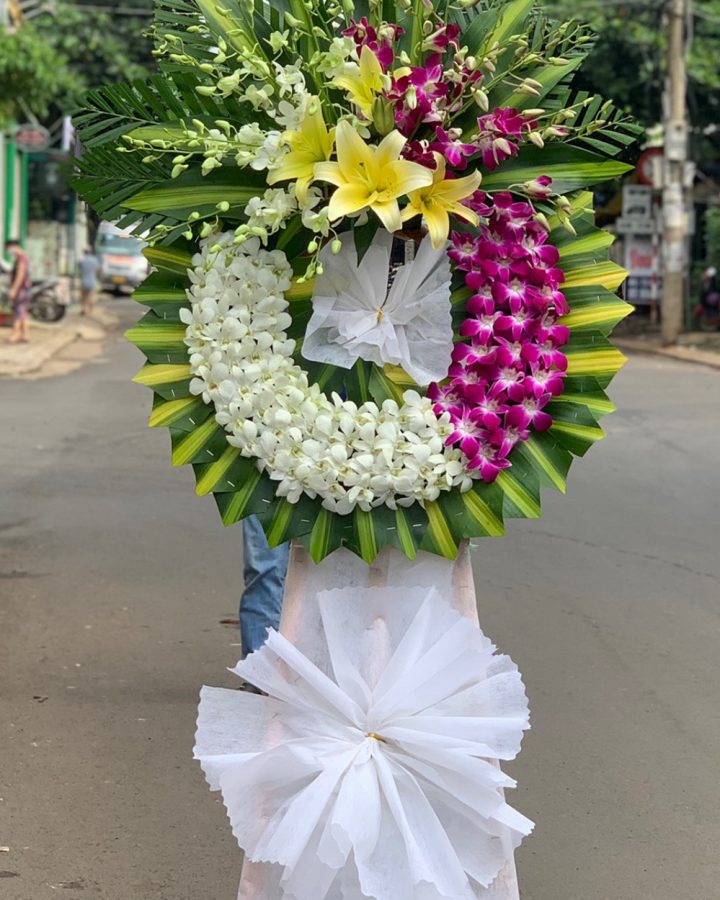 Về Với Cội Nguồn