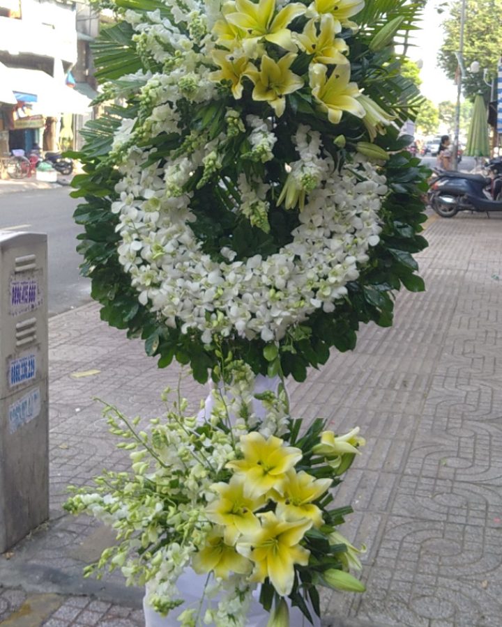 Hoa tang còn mãi