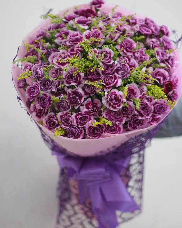 Cẩm chướng chùm