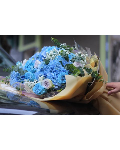 Bí mật sắc màu