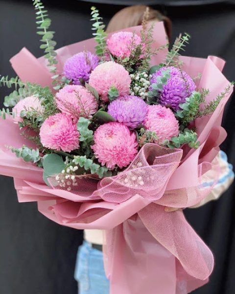 Hoa cúc mẫu đơn hồng