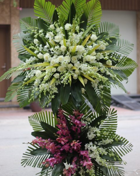 Hoa đẹp