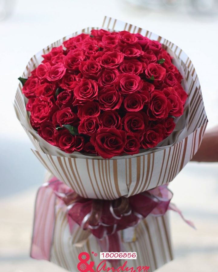Love rose!