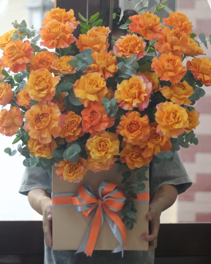 Congratulations!