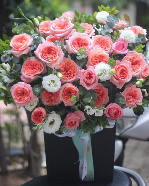 Đóa hồng phai