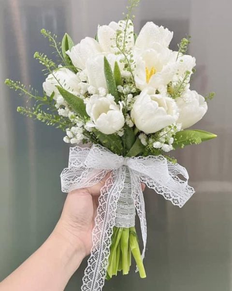 Tulip trắng cô dâu