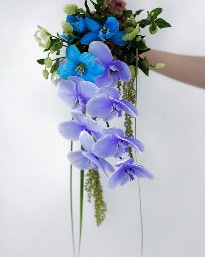 Hồ điệp+ tulip+ dền rủ