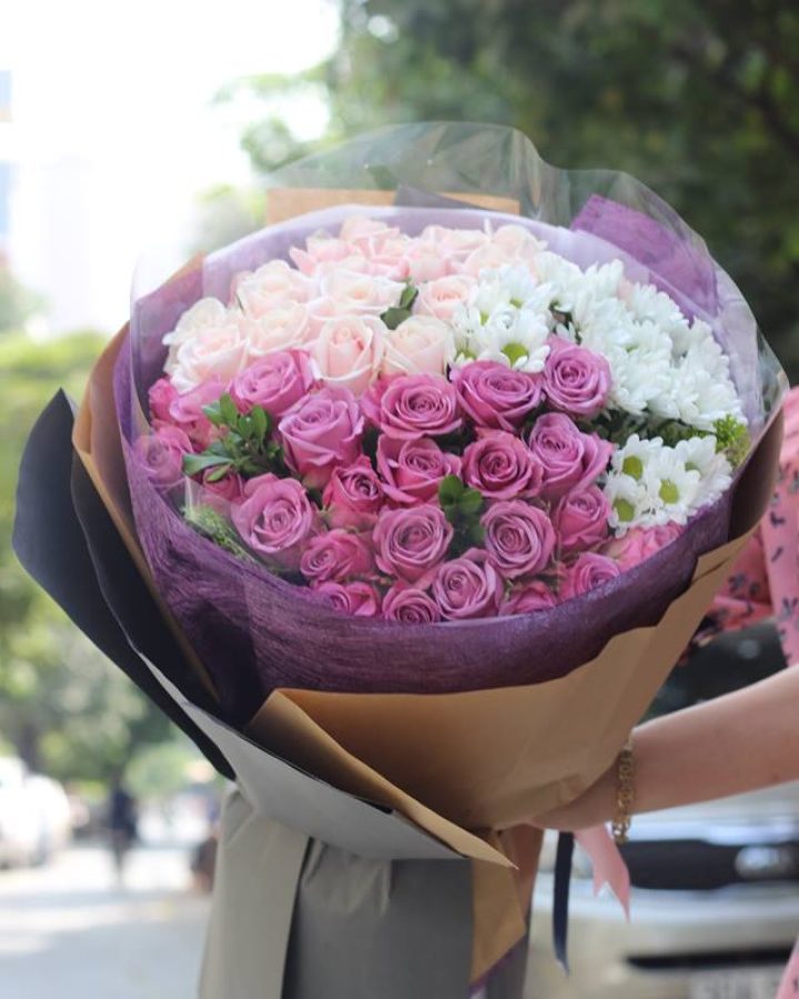 Họa mi xuống phố