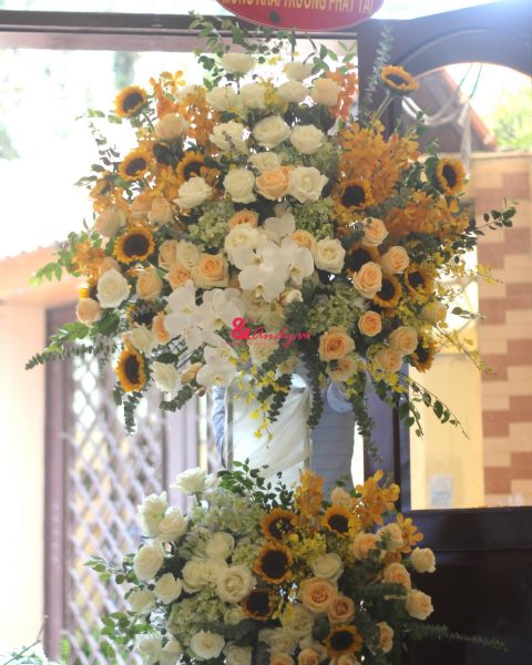 Vươn tới đỉnh cao