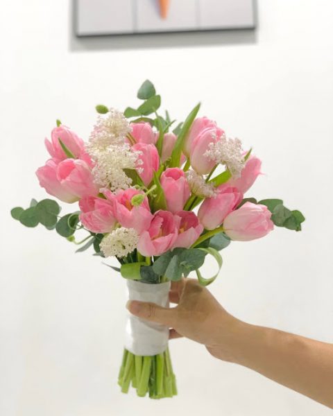Hoa cô dâu tuylip hồng