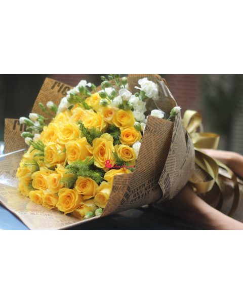 Khởi đầu mới
