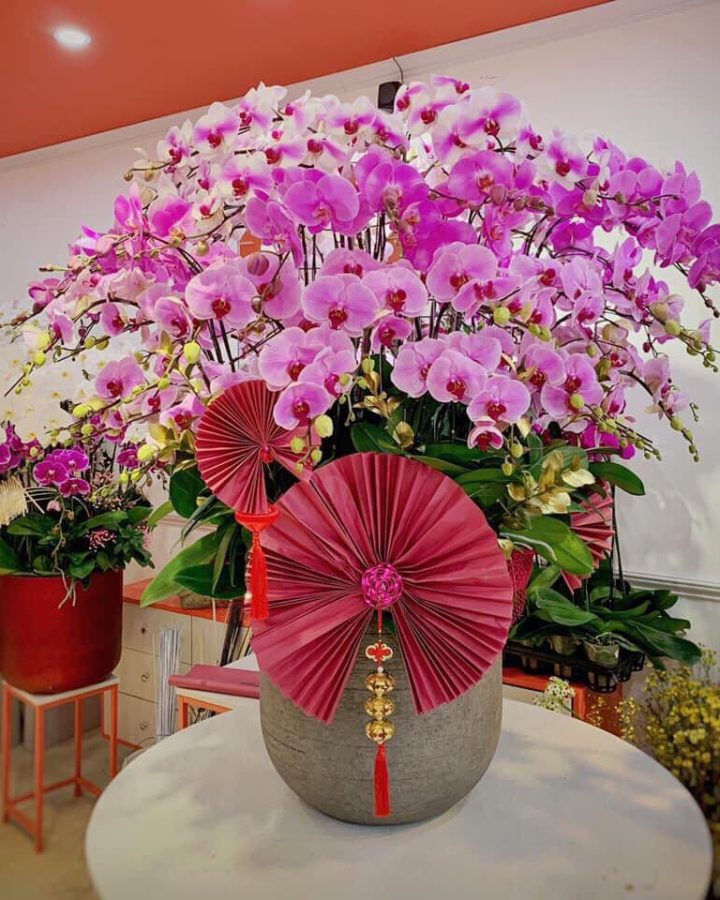 TÍM HỒNG