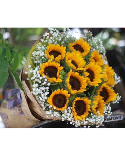  Sun Flower