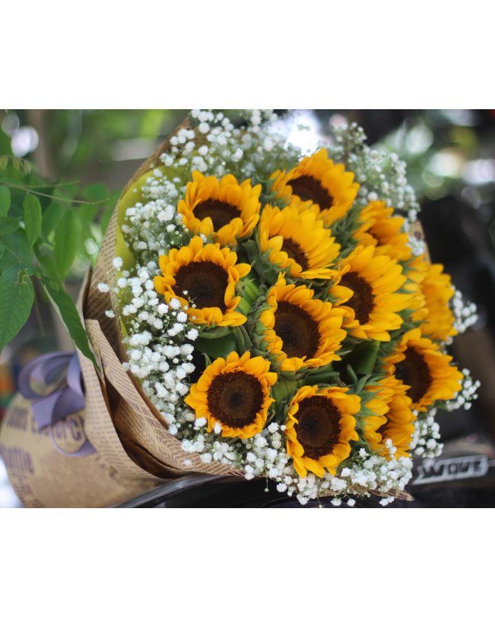  Sun Flower