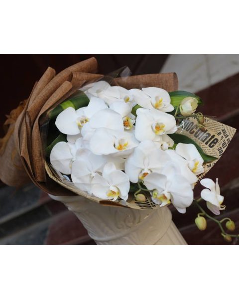 Bó hoa Lan Hồ Điệp