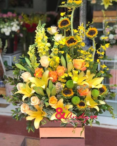 Tặng bạn