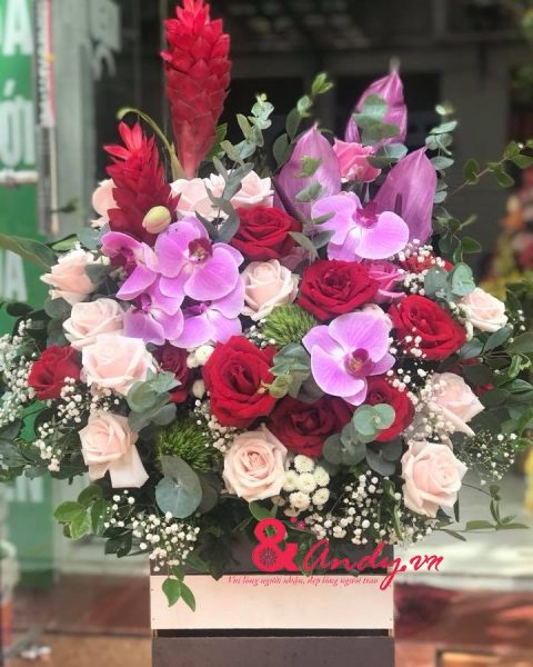 Giỏ hoa hồ điệp tím