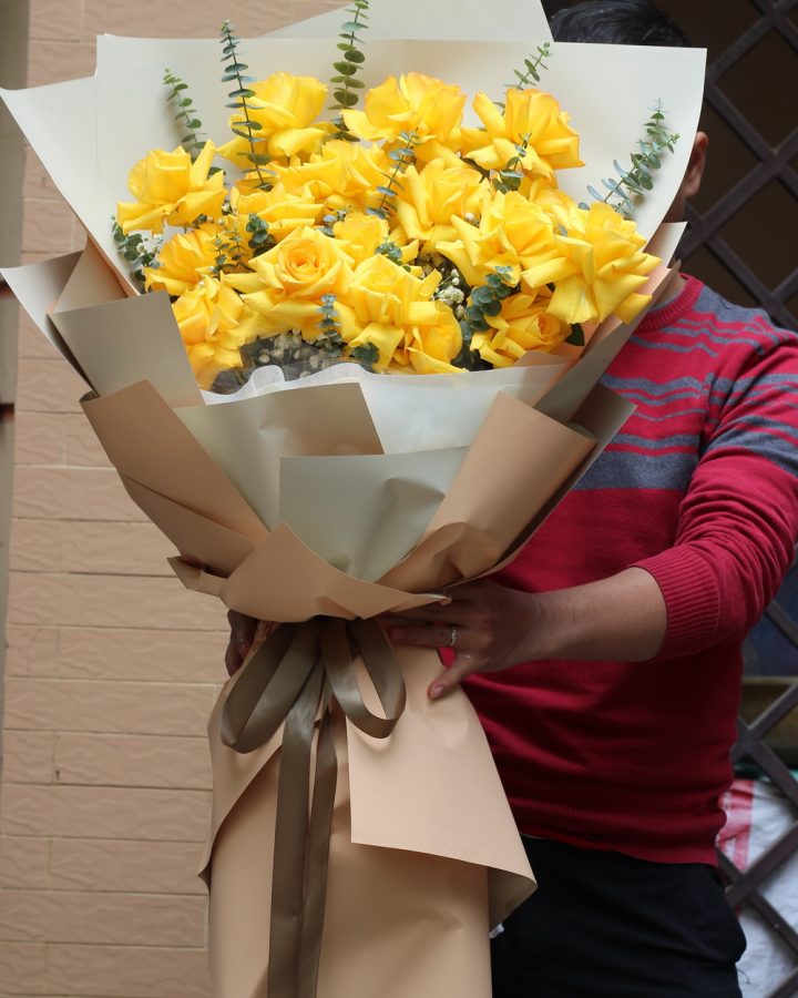 Miền nhiệt đới