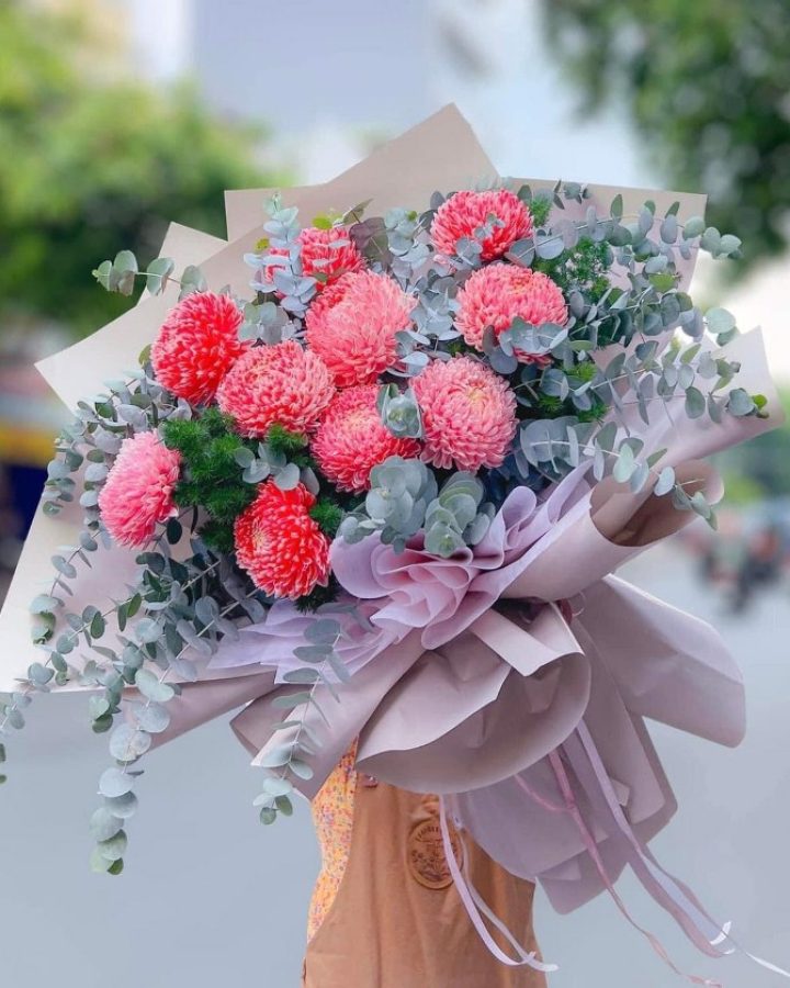 HOA CÚC MẪU ĐƠN MALAYSIA CAM
