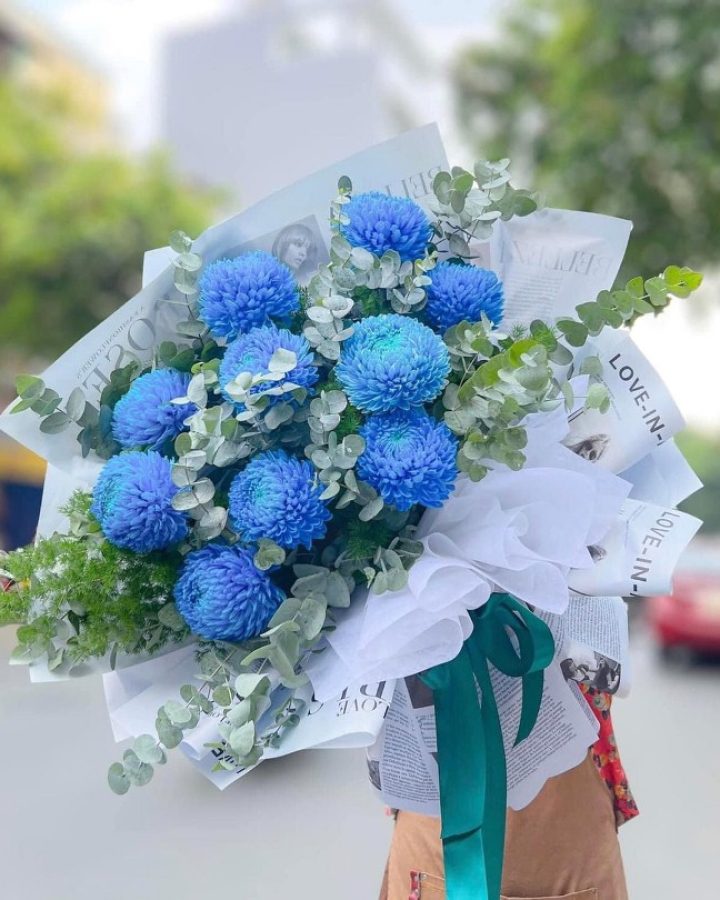 HOA CÚC MẪU ĐƠN MALAYSIA XANH BLUE