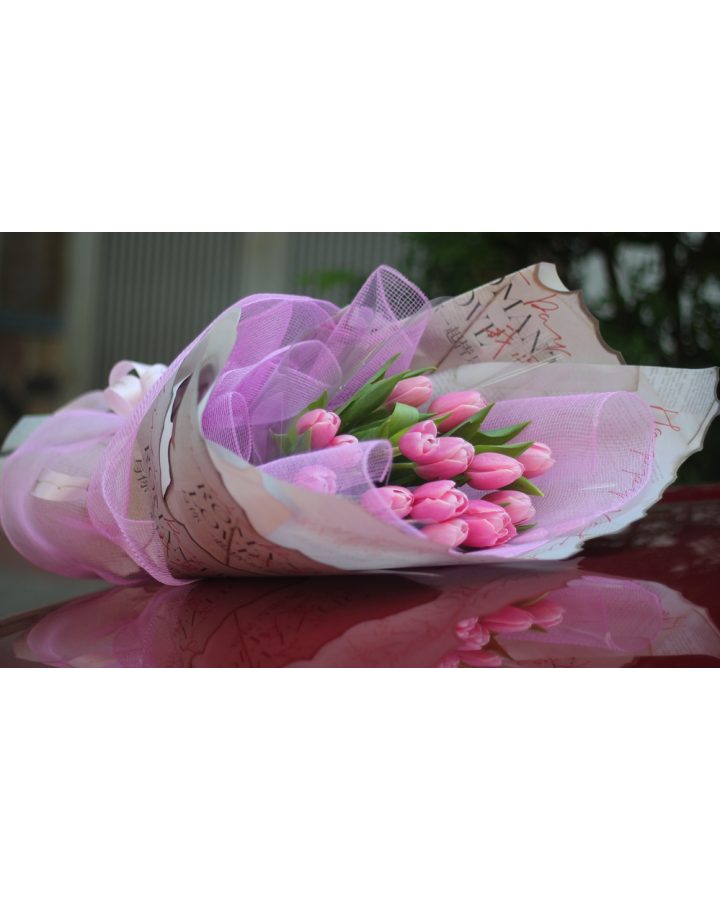 Hoa tulip hồng