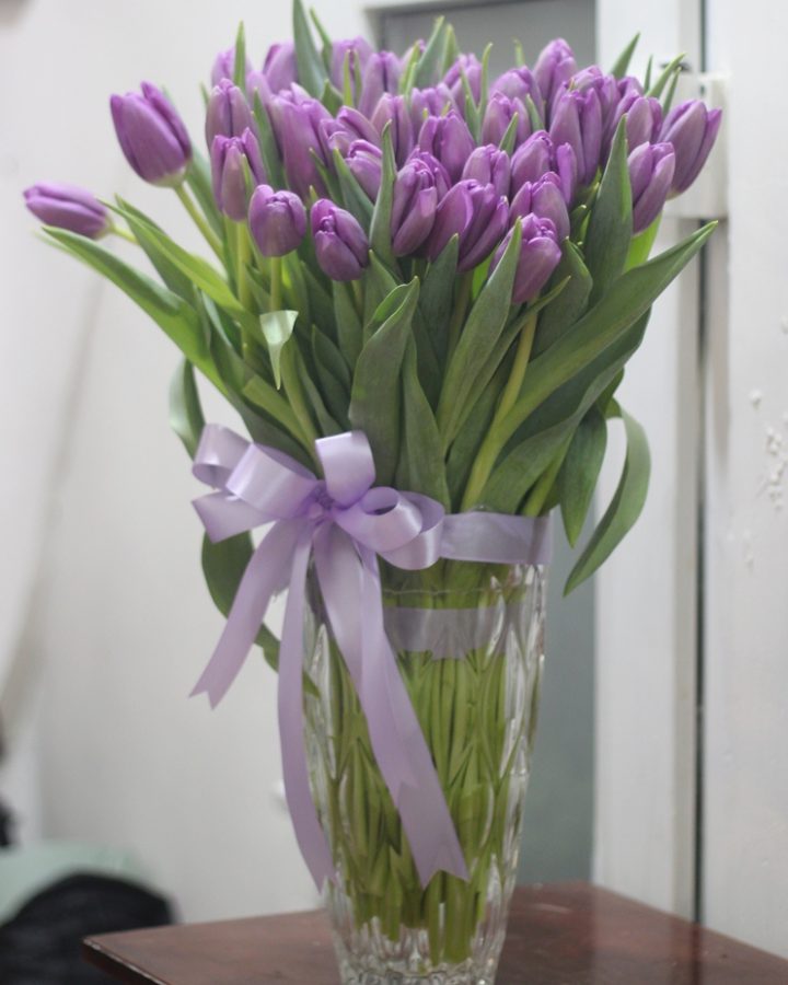Hoa tulip tím