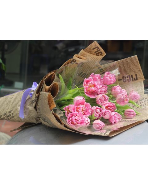 Bó hoa tulip hồng