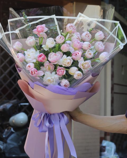 TULIP HỒNG