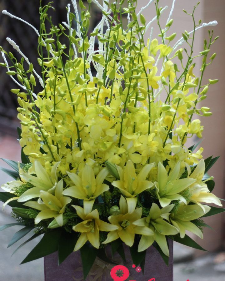 Vươn lên