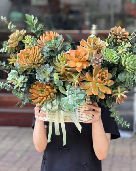  Hoa Địa lan, sang trọng và hiện đại