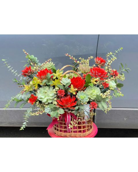  Hộp hoa chúc mừng