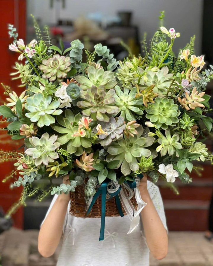 Nét đẹp Sen Trắng
