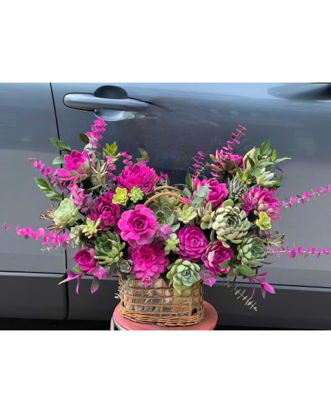 Dồi dào sức khỏe