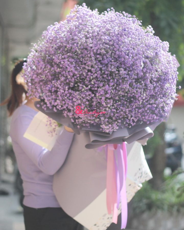 Tỏ tình