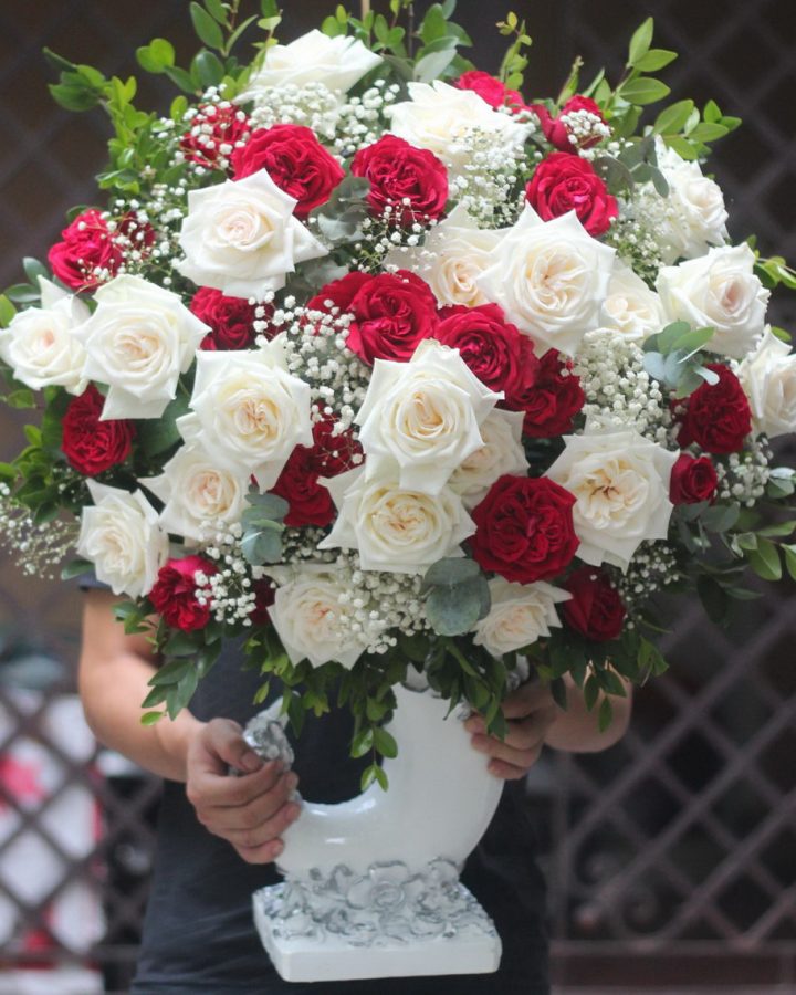 OHARA TRẮNG ĐỎ