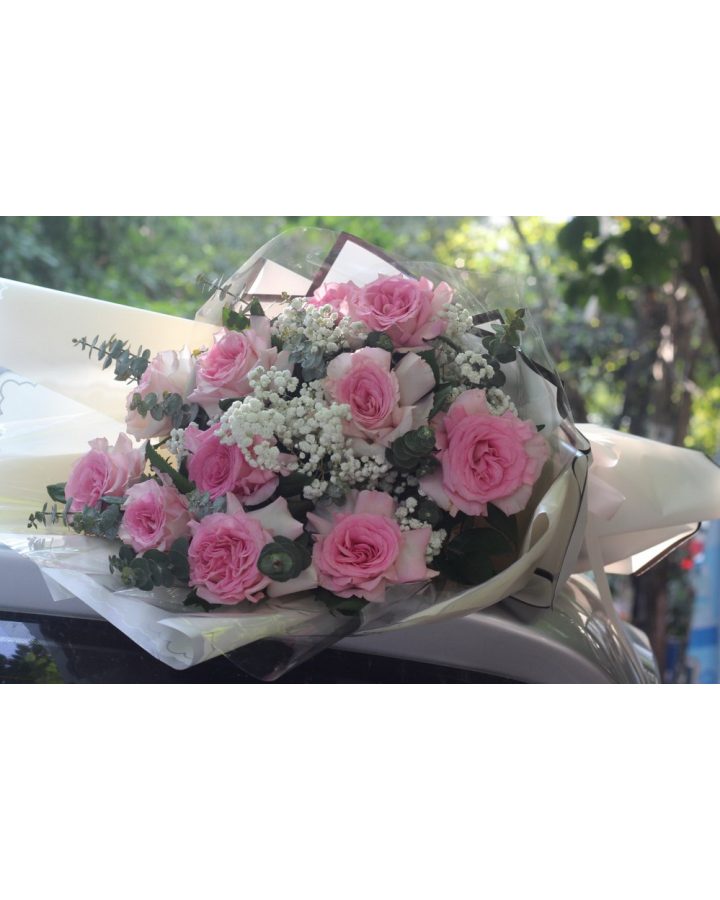 Bó Lan hồ điệp trắng – Tình cha